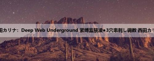 西田カリナ：Deep Web Underground 紧缚监禁淩●3穴串刺し调教 西田カリナ