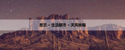 首页 » 生活都市 » 天凤秘籍