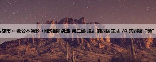 首页 » 生活都市 » 老公不嫌多-小野猫你别逃-第二部 混乱的同居生活 74.共同被“骑”计划4（H）