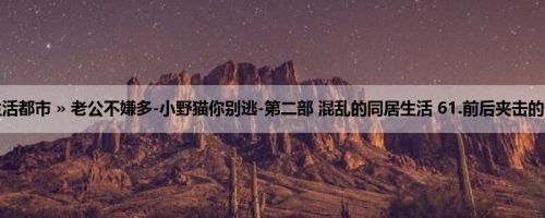 首页 » 生活都市 » 老公不嫌多-小野猫你别逃-第二部 混乱的同居生活 61.前后夹击的快乐（H）