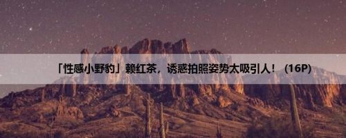 「性感小野豹」赖红茶，诱惑拍照姿势太吸引人！ (16P)