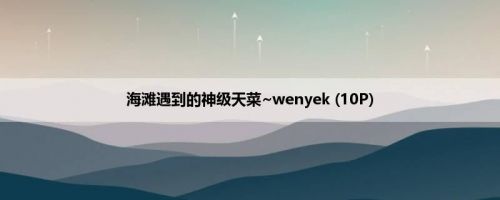 海滩遇到的神级天菜~wenyek (10P)